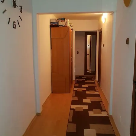 Adam's * 康斯坦察